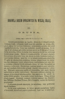 Ogrodnik Polski : dwutygodnik poświęcony wszystkim gałęziom ogrodnictwa T. 7, Nr 9 (1885)