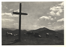 Czarnohora. Na Połoninie Koźmieskiej