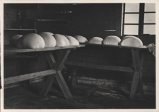 Pasterstwo w Karpatach Wschodnich : schnięcie sera