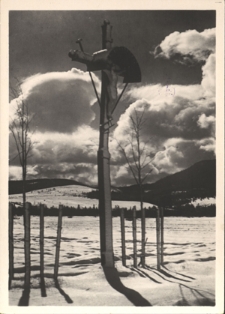 Na granicy Gorganów. Krzyż przydrożny