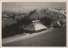 Bieszczady. Sławsko, droga na Wysoki Wierch