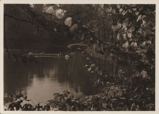 Warszawa. Łazienki, fragment stawu