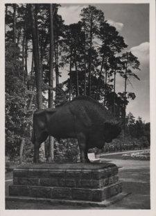 Pomnik żubra w Rezydencji Prezydenta Rzeczypospolitej w Spale