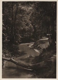 Druskieniki. Rzeczka Rotniczanka