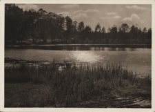 Druskieniki. Jezioro Druskonie