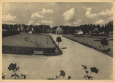 Morszyn-Zdrój. Widok parku