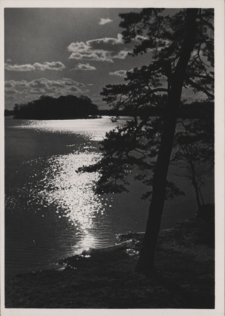 Jezioro Goreckie koło Poznania