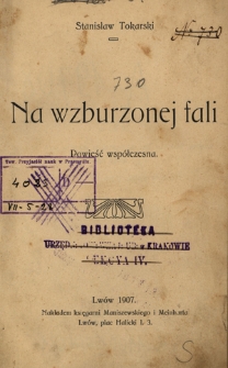 Na wzburzonej fali : powieść wsp&oacute;łczesna