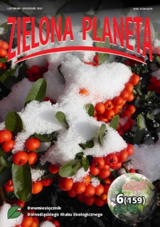 Zielona Planeta : dwumiesięcznik Okręgu Dolnośląskiego PKE. 2021, nr 6=159 (listopad-grudzień)