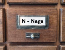 N-NAGA Katalog alfabetyczny