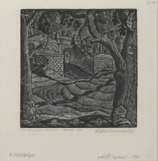 "Tunel w parku puławskim"