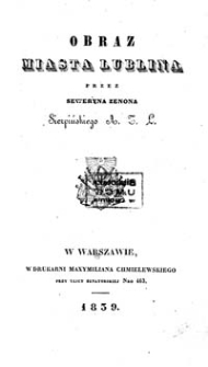 Obraz miasta Lublina